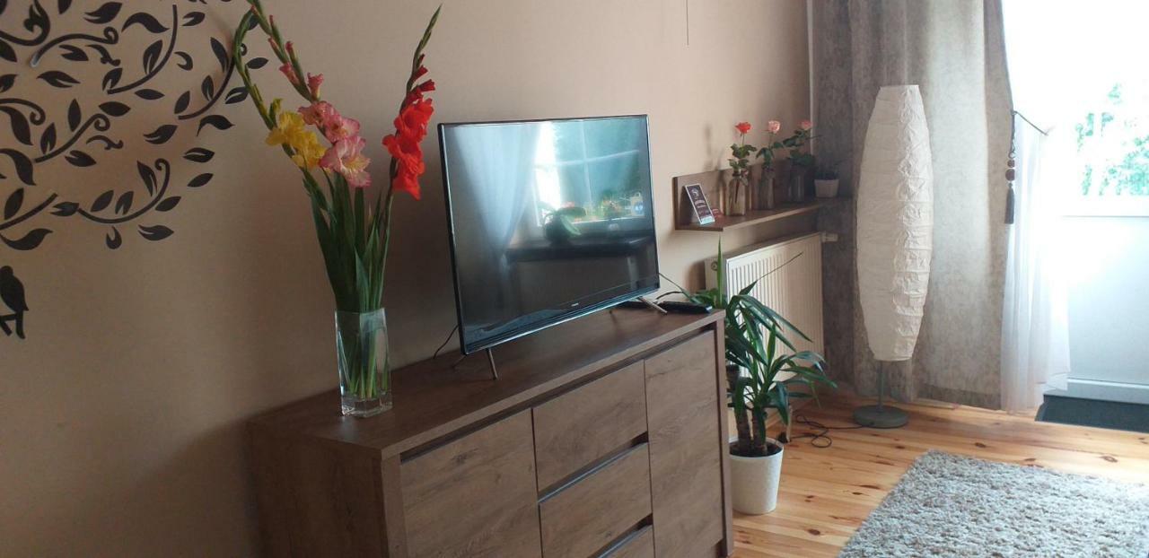 Apartamenty Przy Farze Kazimierz Dolny Kültér fotó